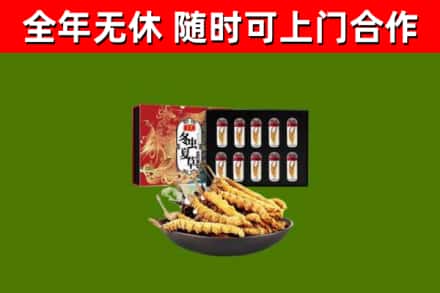 南华县回收冬虫夏草价格